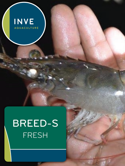INVE BREED-S FRESH