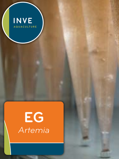 INVE GSL EG ARTEMIA