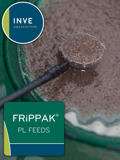 INVE FRiPPAK PL