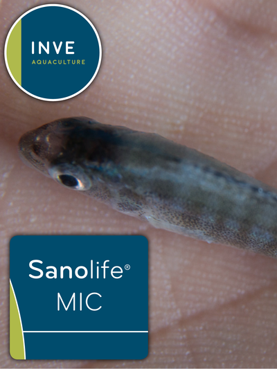 INVE SANOLIFE MIC