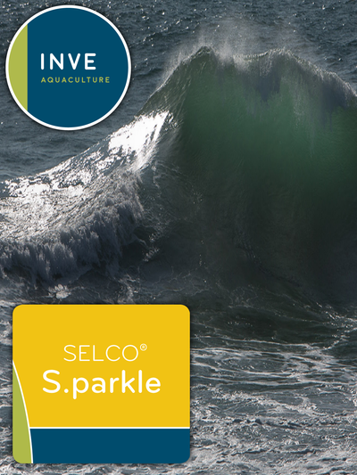 INVE SELCO S PARKLE