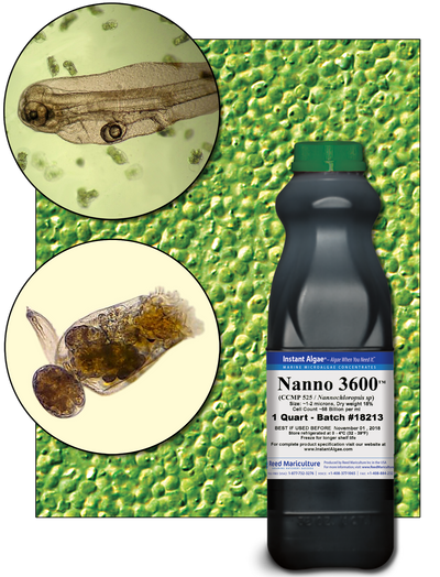 ROTIGROW NANNO™ QUART