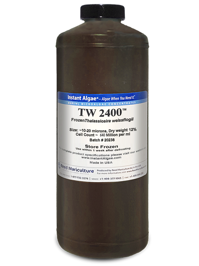 TW 2400