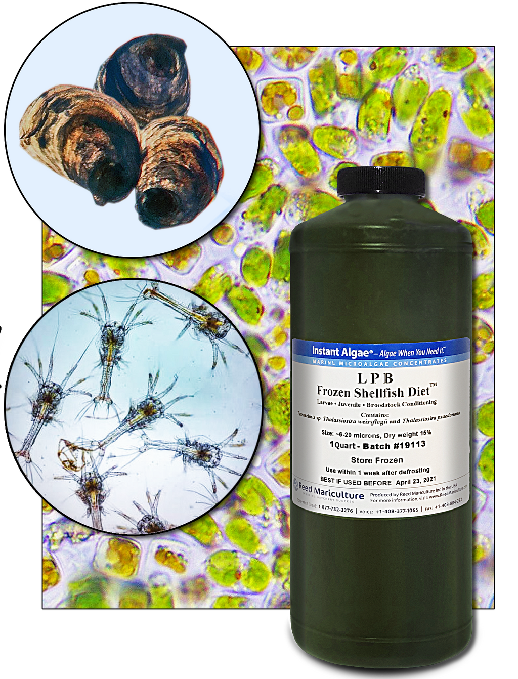 LPB™ FROZEN SHELLFISH DIET®