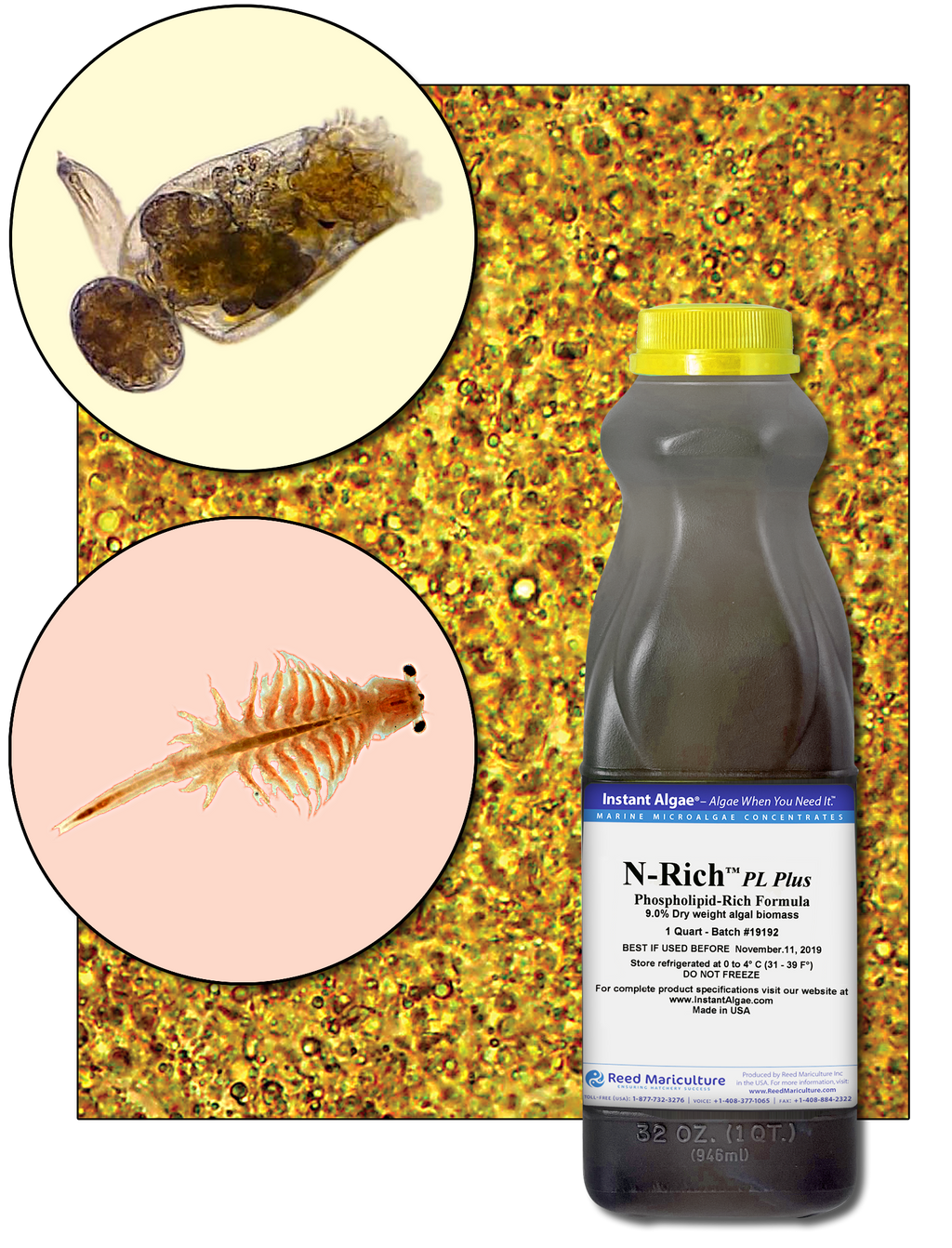 N-RICH® PL PLUS PARENT