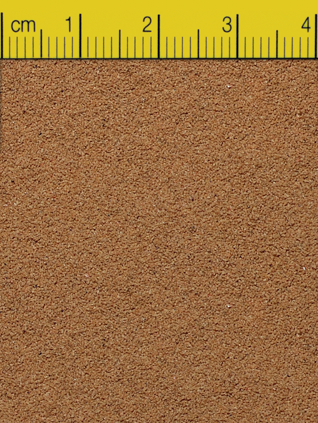 OTOHIME B1 - 2KG BAG